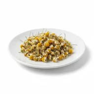 بابونه-شیرازی-خشک