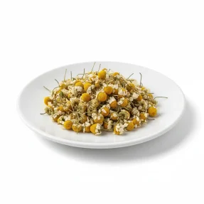 بابونه-شیرازی-خشک