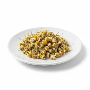 بابونه-شیرازی-خشک