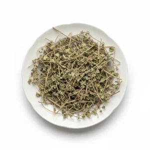 کاکوتی