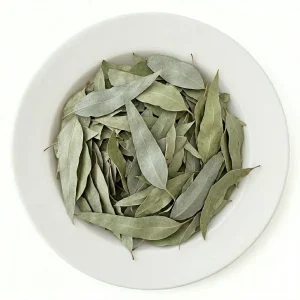 برگ اکالیپتوس